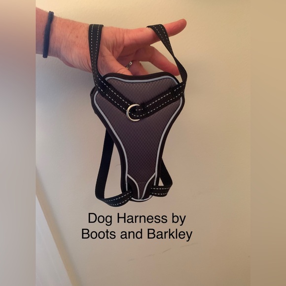 Adjustable Pet Harness by Boots and Barkley in Size Small - Picture 3 of 8